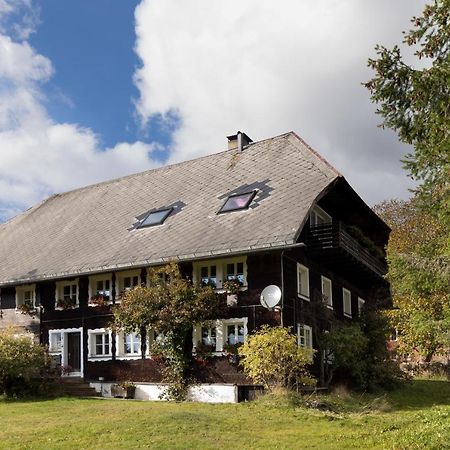 Waelder: Quartier Dachsberg Villa Dachsberg im Schwarzwald Bagian luar foto